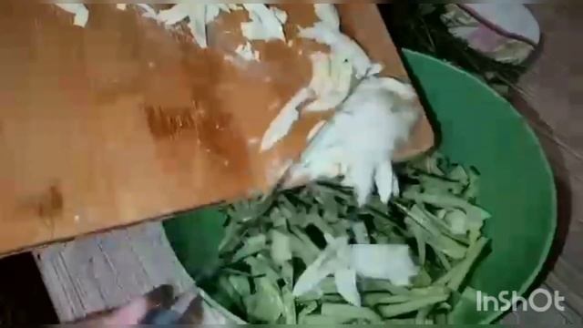 Салат дружба съедается весь без остатка рецепт бюджетный и простой а салат ну очень вкусный Салат смотреть онлайн