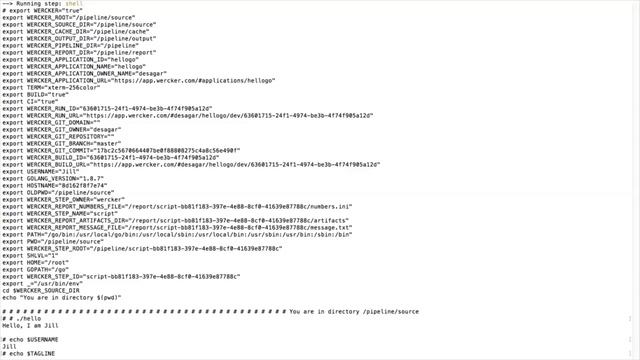 Debug your pipeline with Wercker CLI смотреть онлайн