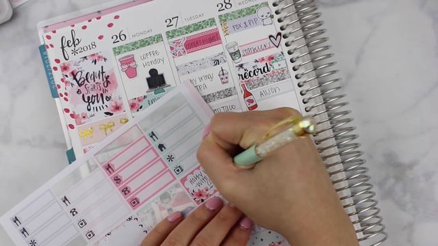 Plan with Me: Hello Petite Paper "Girly" | MandyPlans смотреть онлайн