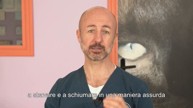 56 - Antiparassitari per cani e gatti, come applicarli correttamente смотреть онлайн