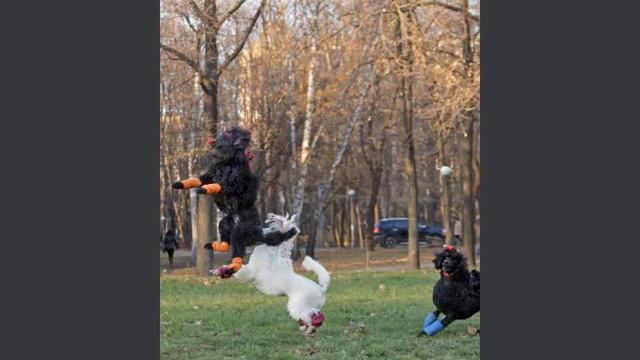 Зимушка -зимуля.wmv смотреть онлайн