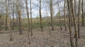 Сергеевка — древняя таможня и пропускной пункт в русское Залесье