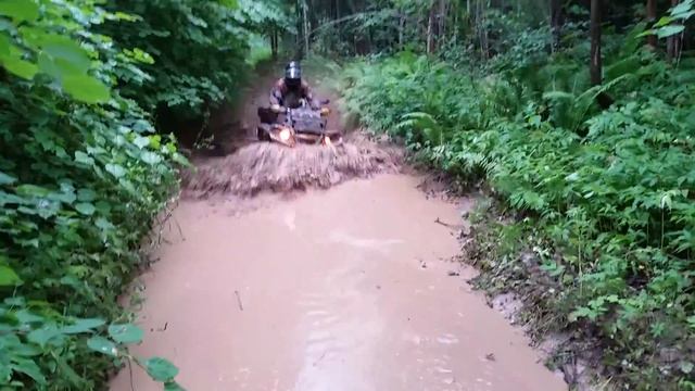 10.07.16 Люкшудья(3) смотреть онлайн