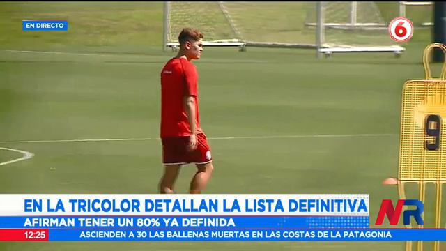 La Tricolor inició el primer microciclo con miras a Qatar смотреть онлайн