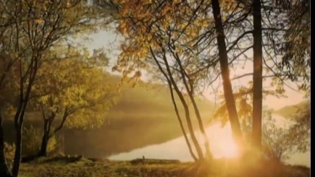 RACHMANINOFF-RHAPSODY смотреть онлайн