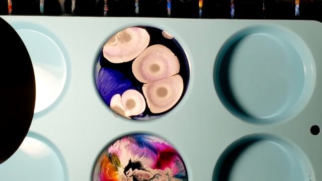 Resin Petri Dish! смотреть онлайн