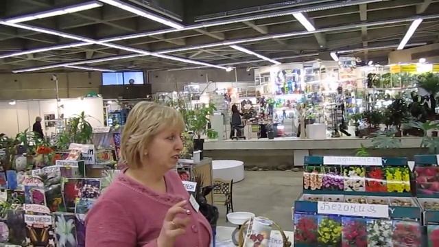 Посадка комнатных луковичных и многолетних растений 2 смотреть онлайн