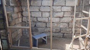 построил новый вольер для попугаев