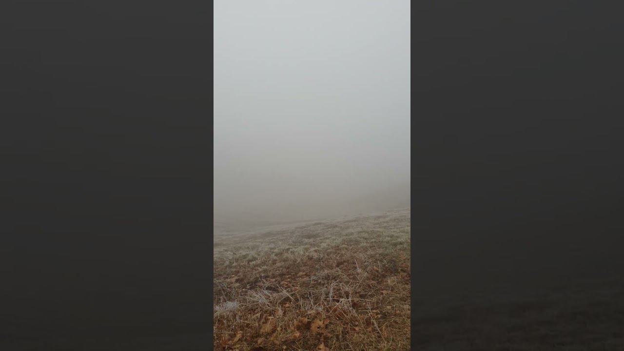 #Туман #спорт #зож #тренировки смотреть онлайн