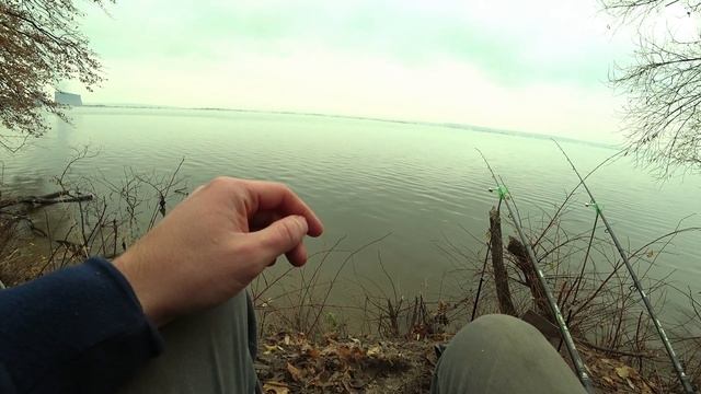 В ЭТОМ ПРУДУ РЫБА ВСЕГДА ГОЛОДНАЯ! Но можно ли её есть!? Рыбалка поздней осенью. смотреть онлайн