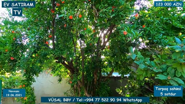 NOVXANIDA, 123 000 MANATA, ƏŞYALI, BAĞ EVİ TƏCİLİ SATILIR/Недвижимость в Баку /bag Evleri 2021