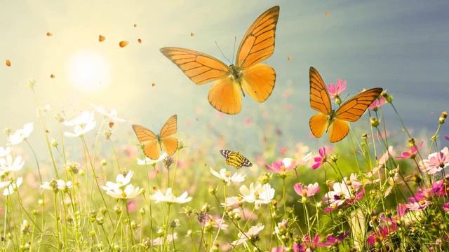 Успокаивающее море - 2 часа расслабления - Пение птиц