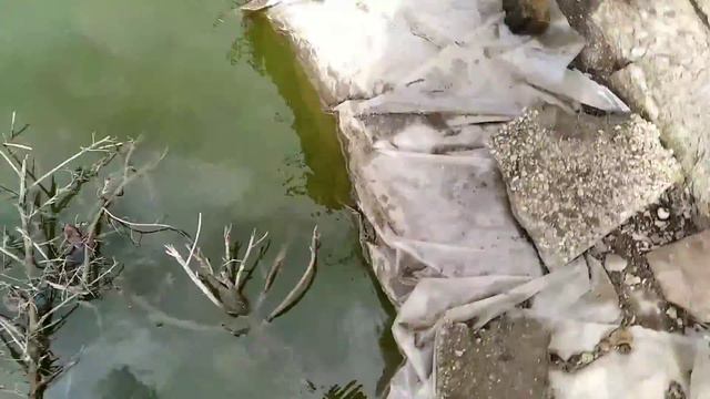 Мини рыбалка смотреть онлайн