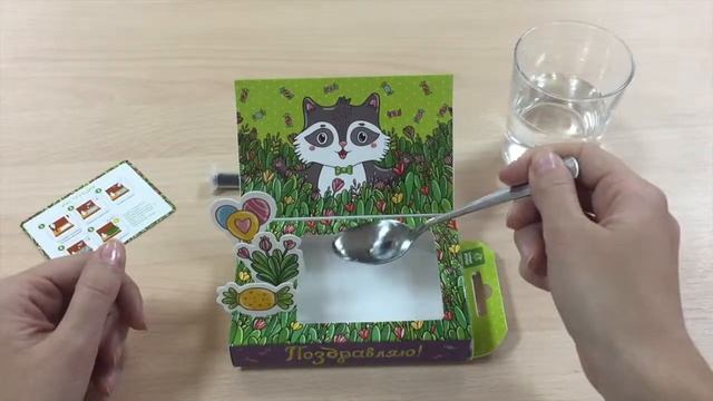 Happy plant Обзор живой открытки Поздравляю! (Енот) смотреть онлайн