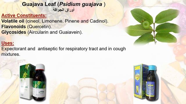 Herbal medicine Respiratory system смотреть онлайн