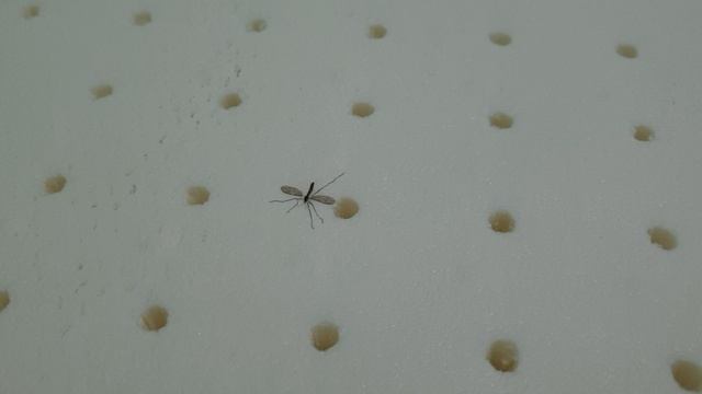 Удовольствие требует жертв?♂️ смотреть онлайн