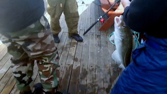 Рыбалка на крупную треску в Баренцевом море смотреть онлайн