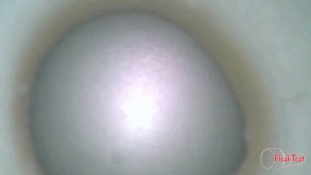 Fleshlight Teagan Presley Lotus texture – inside cam [720p] смотреть онлайн