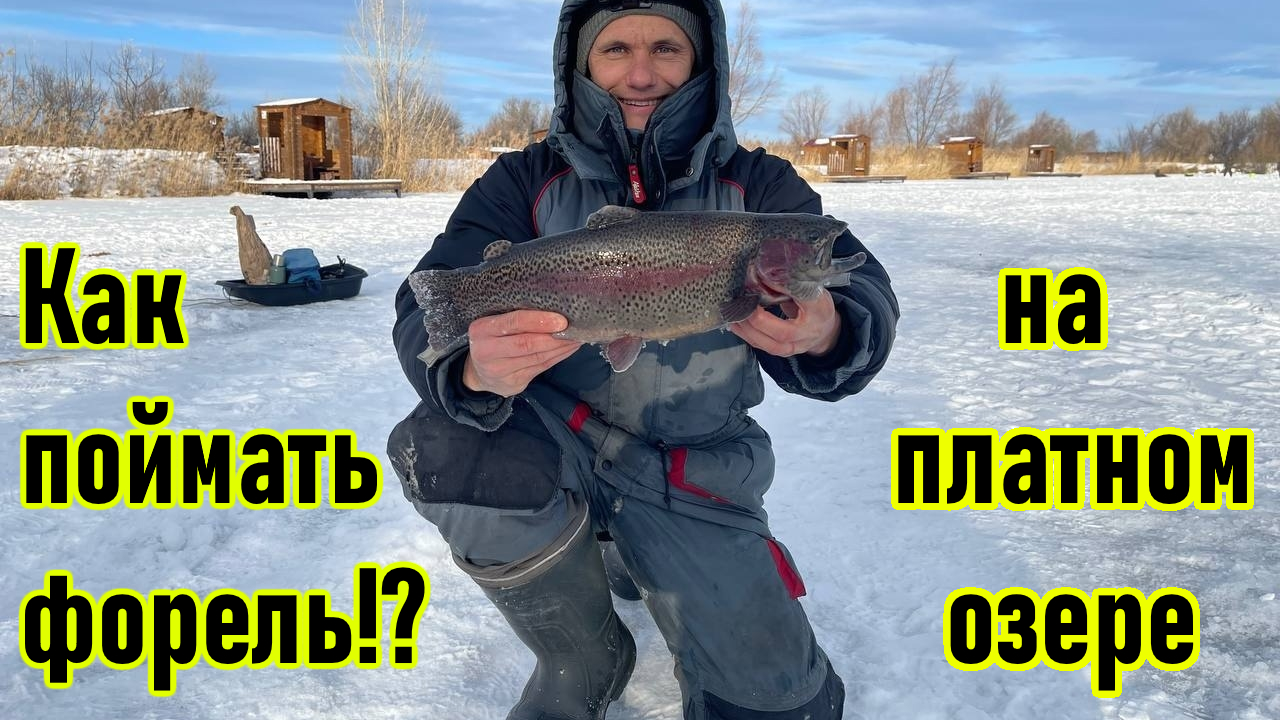 ФОРЕЛЬ / ЛОВЛЯ ФОРЕЛИ ЗИМОЙ / ФОРЕЛЕВОЕ ХОЗЯЙСТВО/ КАК ПОЙМАТЬ ФОРЕЛЬ НА ПЛАТНИКЕ? / ФОРЕЛЬ НА ВИБЫ смотреть онлайн