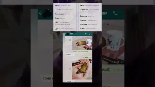 #shorts #мемы #мем смотреть онлайн