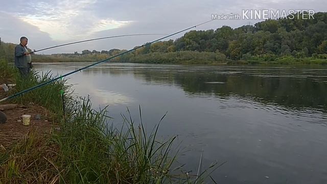 Подуст.Бешеный клев на Урале под Оренбургом смотреть онлайн