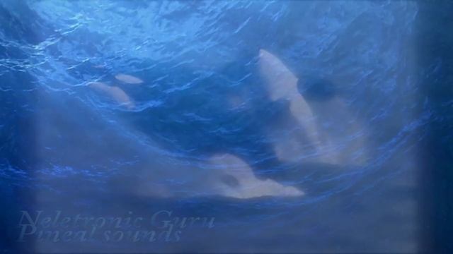 Meditation music 1 Moonlit Whale song -2 Whales in space смотреть онлайн