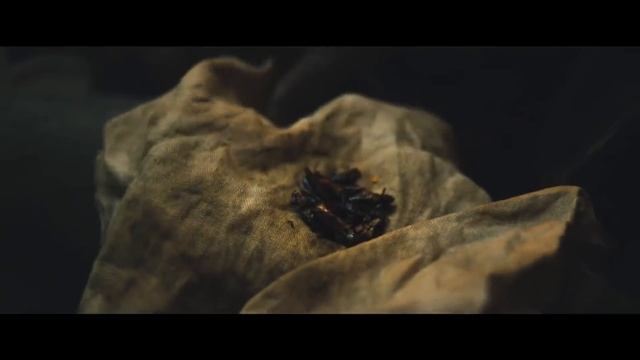 State of Decay 2 - Found Footage of Coach Trailer смотреть онлайн
