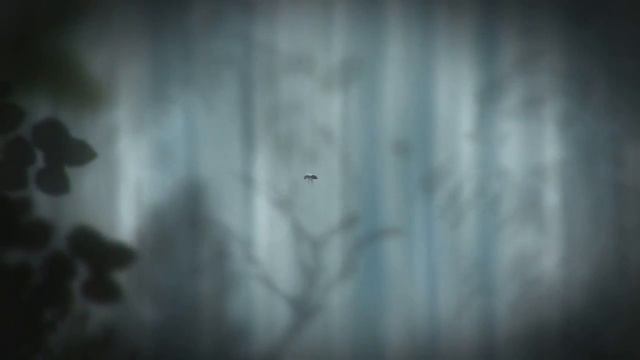 The Plan. Жизнь мухи! Такая короткая, но такая красивая. смотреть онлайн