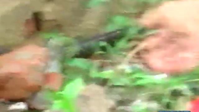 Rescue Snake смотреть онлайн