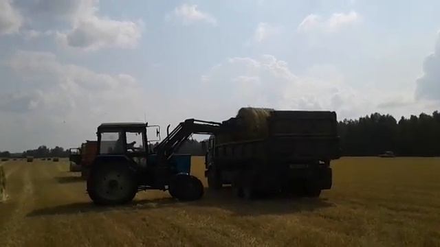 Сено рулоны 280 кг смотреть онлайн