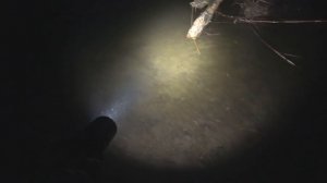 КАК ЛОВИТЬ РАКОВ НОЧЬЮ РУКАМИ