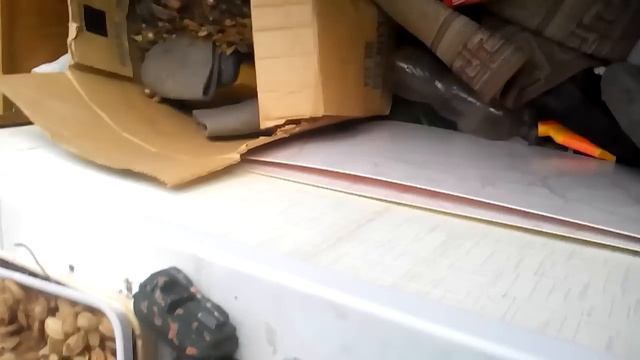 Звонок на номера 666 777 555 и 2666666 смотреть онлайн