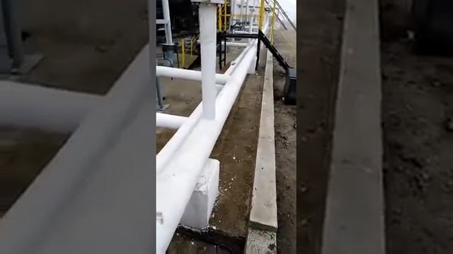 В чем разница 95 и 92 бензина смотреть онлайн