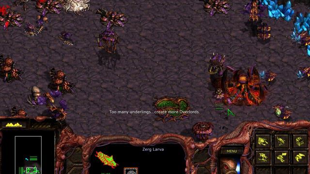 Starcraft Remastered - Zerg Mission 3: The new dominion смотреть онлайн