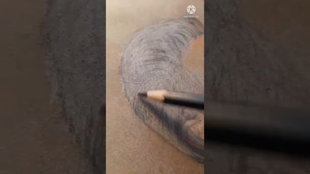 Светлана Сурганова. 