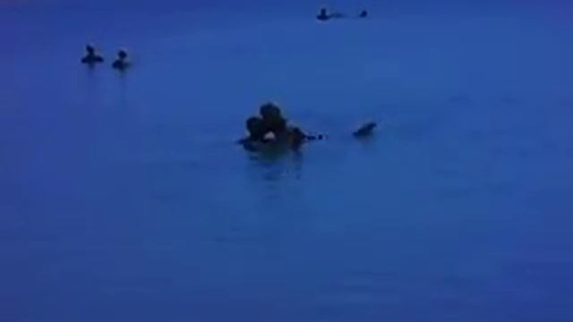 Израиль. Мертвое море смотреть онлайн