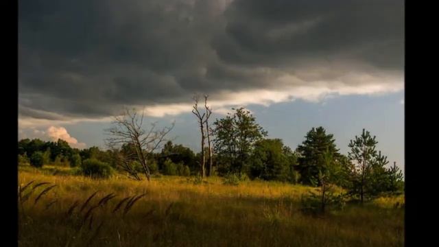 А.Пахмутова ... зачем меня окликнул ты ... Ralf Reber / 2022 смотреть онлайн