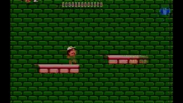 Adventure Island (NES) - Level 8-3 - Perfect Run (Wii Virtual Console)