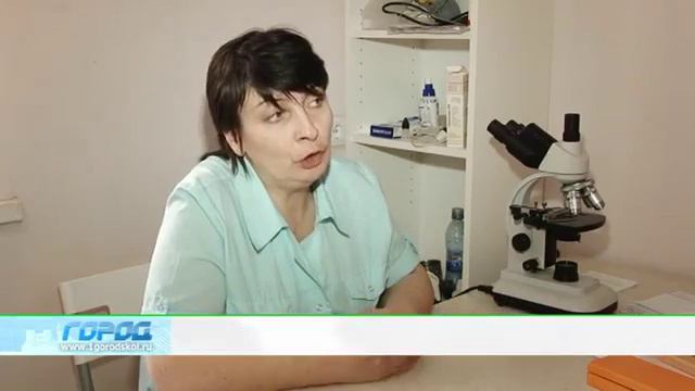 Нижний Новгород. Кто травит собак? смотреть онлайн