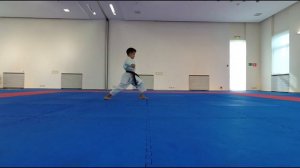 Кихон на синий пояс - 5кю, 4кю