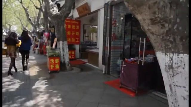 Открытая Азия в Шанхай-Сучжоу Shanghai-Suzhou.HD