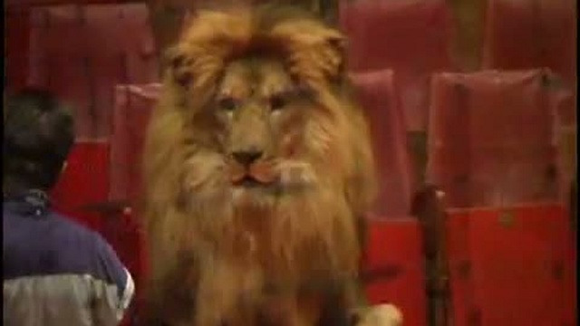 Осторожно, хищники!