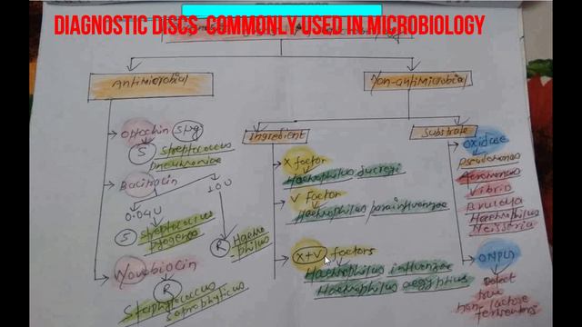 Diagnostic Discs most commonly used in Microbiology смотреть онлайн