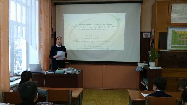 Лишайники смотреть онлайн