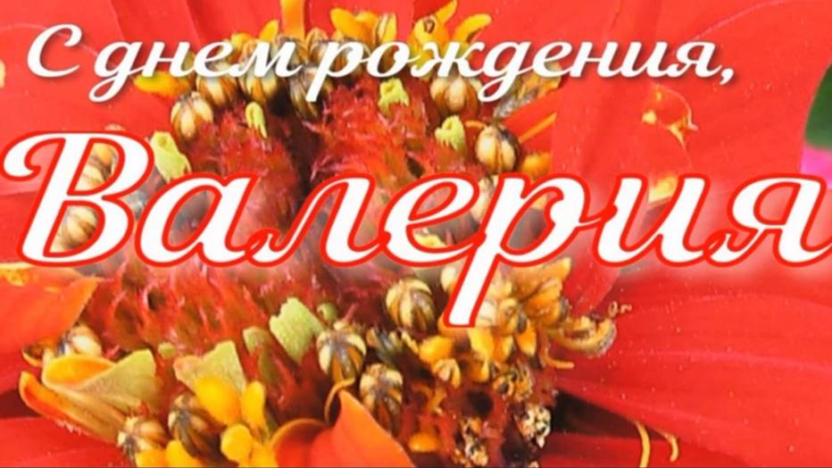 ВАЛЕРИЯ, С ДНЕМ РОЖДЕНИЯ смотреть онлайн