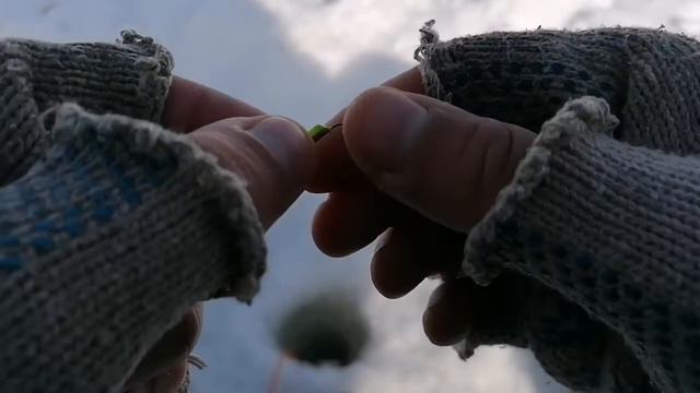 ЧЁТКАЯ ПОКЛЁВКА! ОБЗОР РЫБАЛКИ 2021 смотреть онлайн