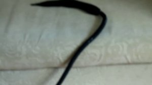 Включение пароочистителя Kitfort KT 912