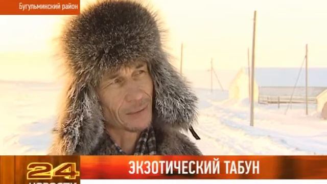 ЭКЗОТИЧЕСКИЙ ТАБУН смотреть онлайн