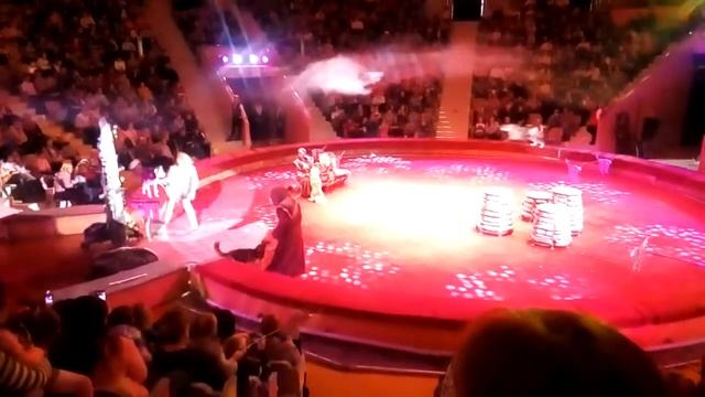 Волки в цирке смотреть онлайн