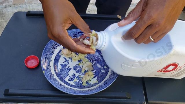 COMO PREPARAR UN INSECTICIDA CASERO A BASE DE AJO 👉 MATA Todas Las PLAGAS De Tus plantas смотреть онлайн